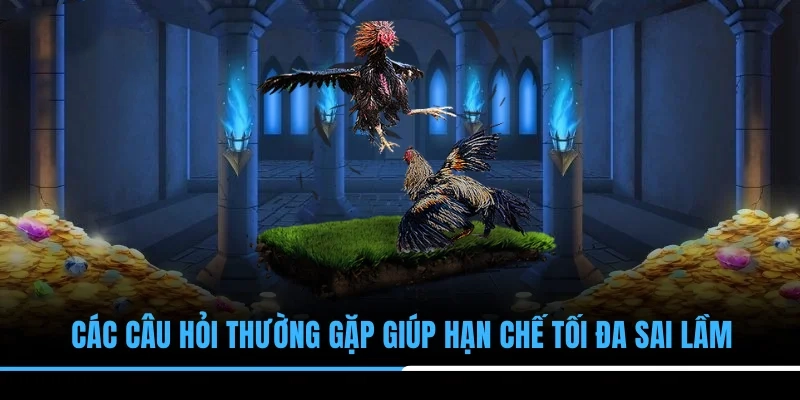 Các câu hỏi thường gặp giúp hạn chế tối đa sai lầm